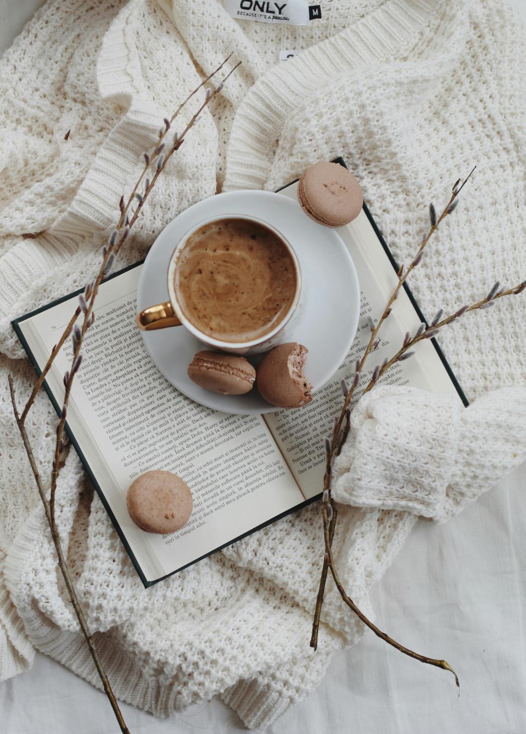 Coffee Creamer Review: January 2020 – I’ve Found the Best Coffee Creamer Ever ☕😋